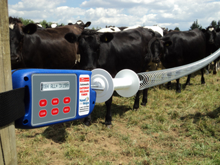 Batt-Latch Gate Release Timer